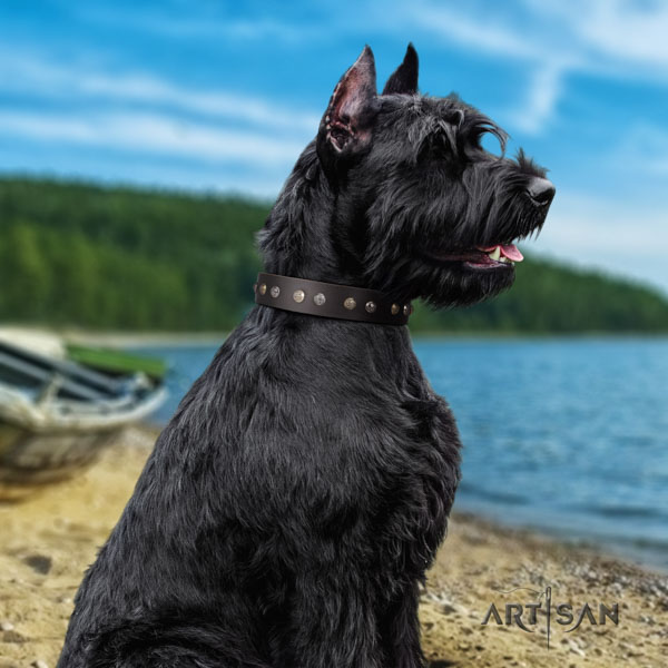 Riesenschnauzer easy wearing genuine leather collar for your beautiful doggie
