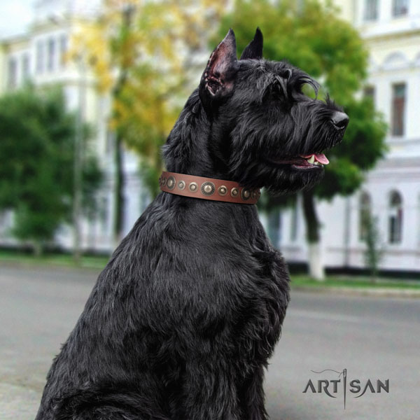 Riesenschnauzer daily use genuine leather collar for your stylish pet