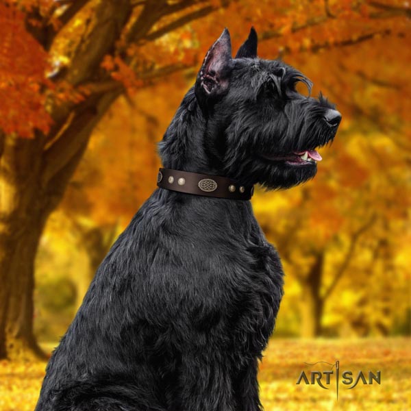 Riesenschnauzer easy wearing genuine leather collar with studs for your canine