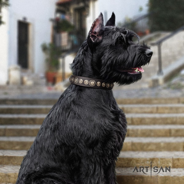 Riesenschnauzer easy wearing natural leather collar for your impressive doggie