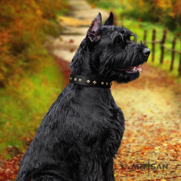 Riesenschnauzer easy wearing full grain natural leather collar with embellishments for your dog
