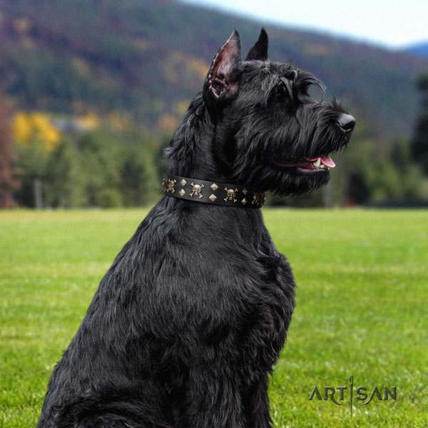 Riesenschnauzer basic training full grain natural leather collar for your impressive dog