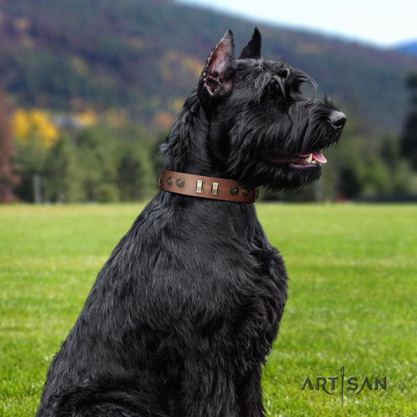 Riesenschnauzer daily use genuine leather collar with adornments for your dog