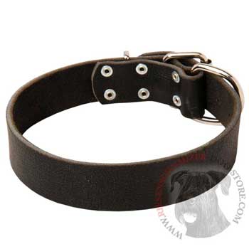 Unbelievable Riesenschnauzer Strict Style Leather Dog  Collar