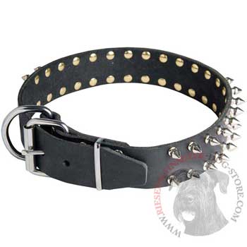 Spiked Leather Dog Collar for Riesenschnauzer Fashion Walking