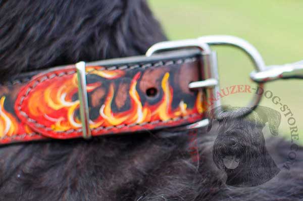 Solid Silver-like Hardware On Walking and Training Leather Riesenschnauzer Collar