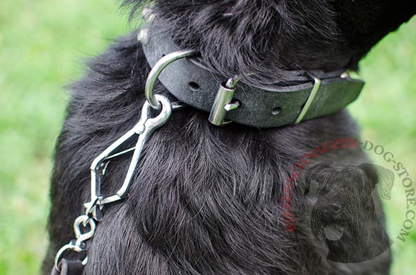 Reliable leather collar for safe handling