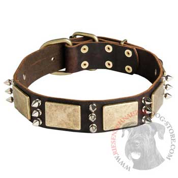 War-Style Leather Dog Collar for Riesenschnauzer