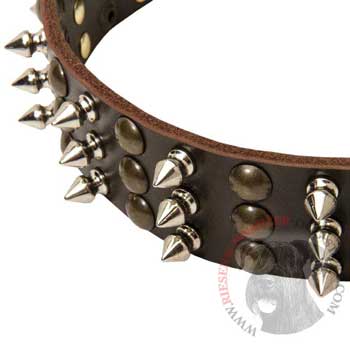 3 Rows of Spikes and Studs Decorative Riesenschnauzer  Leather Collar