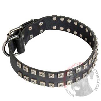 Leather Riesenschnauzer Collar Wide Strong Studded