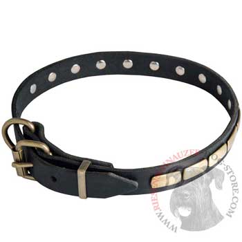Riesenschnauzer Leather Dog Collar with steel old brass plated Buckle 