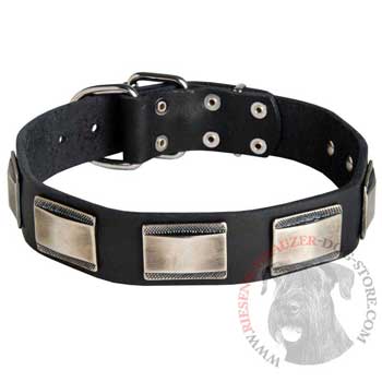 Leather Riesenschnauzer Collar with Solid Nickel Plates