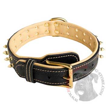 Leather Dog Collar Spiked Adjustable for Riesenschnauzer Walking