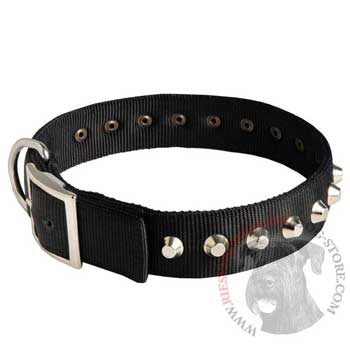 Nylon Buckle Dog Collar Wide with Studs for   Riesenschnauzer