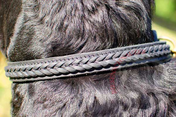 Braided leather part looks great on everyday dog collar