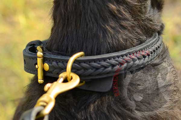 Welded brass D-Ring securely built in dog collar