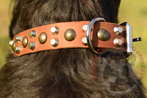 Brass half ball studs and nickel-plated cones on leather dog collar