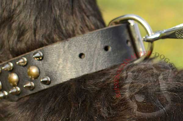 Riveted ring - strong metal detail on leather dog collar