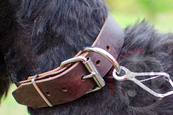 Strong built-in metal ring designed for leash clipping 
