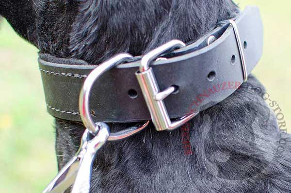 Cast durable D-Ring meant for leash fastening 