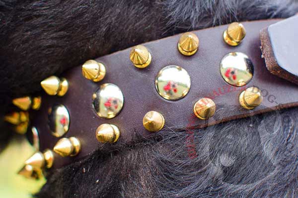 Super attractive goldish spikes and half ball studs set in rows