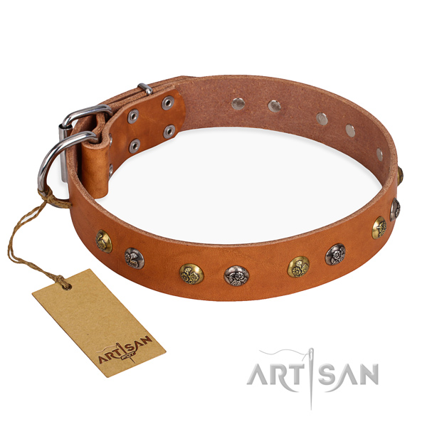 Fancy walking perfect fit dog collar with reliable traditional buckle