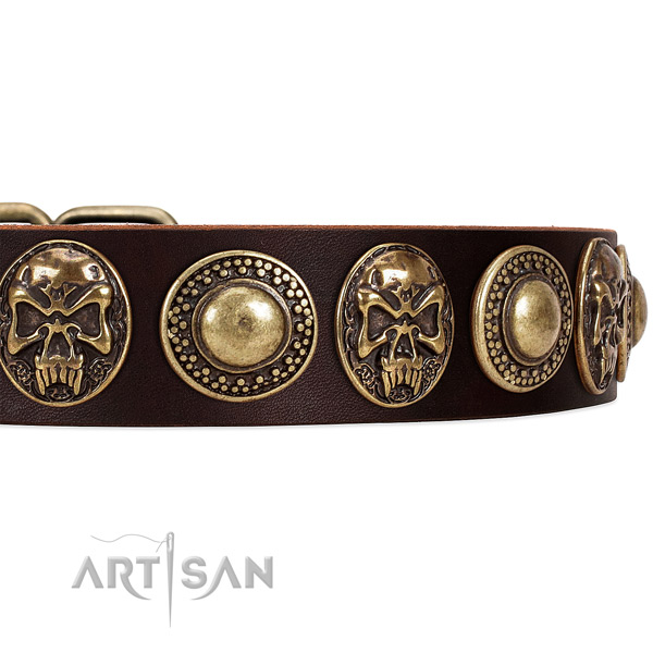 Full grain leather dog collar with adornments for everyday use