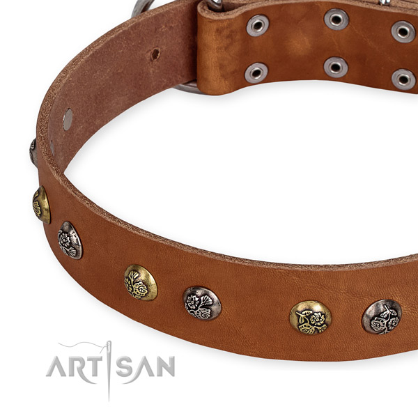 Genuine leather dog collar with stylish rust-proof studs