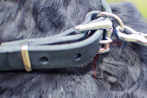 Solid built-in D-ring made for easier and dependable leash hooking