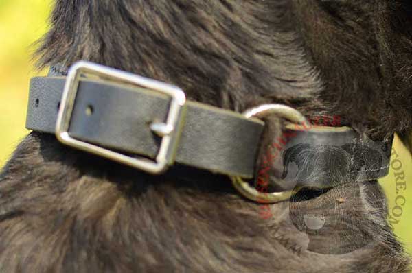 Rustproof hardware - easy release buckle and O-ring built in leather collar
