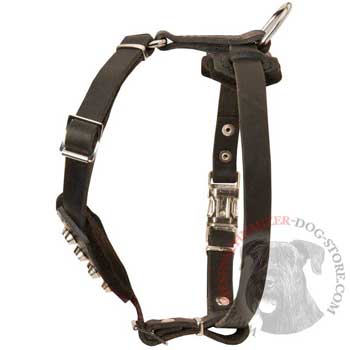 Leather Riesenschnauzer Puppy Harness for Comfy Walking