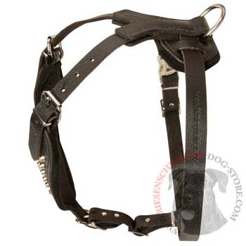 Custom Made Leather Riesenschnauzer Harness