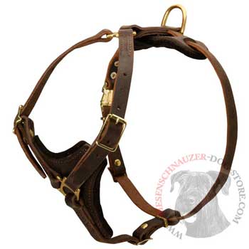 Riesenschnauzer Harness Y-Shaped Brown Leather Easy Adjustable for Best Fit