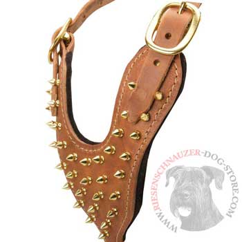 Brass Spiked Leather Riesenschnauzer Harness
