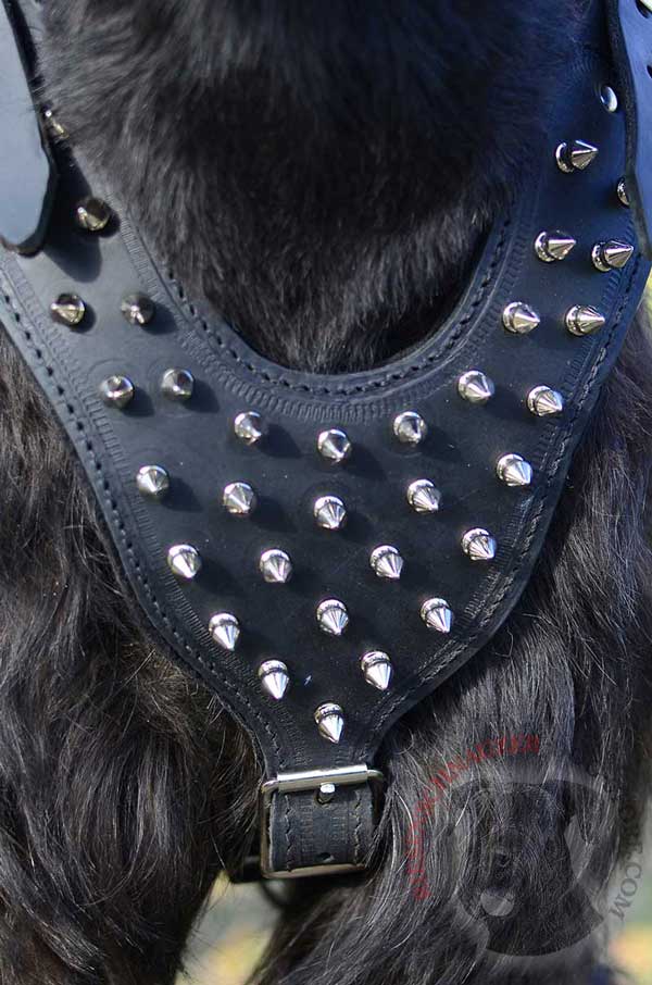 Spiked Chest Plate of Riesenschnauzer Harness for Walking in Style