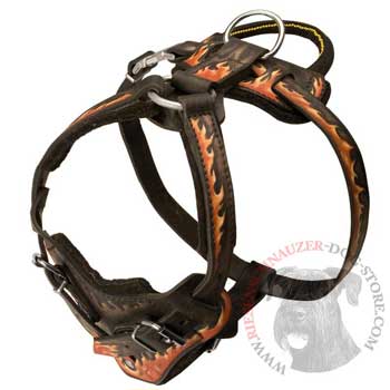 Leather Dog Harness with Handle for Riesenschnauzer Training
