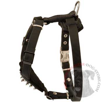 Riesenschnauzer Leather Harness for Puppy Walking and Training