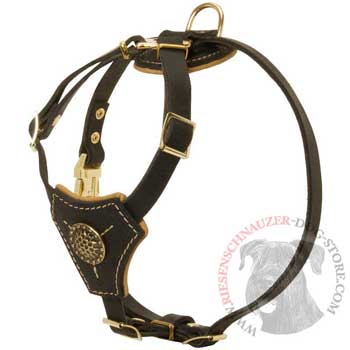 Walking Training Leather Puppy Harness for Riesenschnauzer