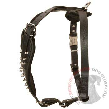 Adjustable Leather Harness for Riesenschnauzer