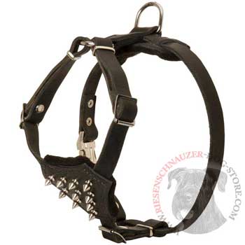 Riesenschnauzer Leather Puppy Harness with Attractive Nickel Decoration