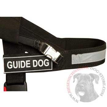 Riesenschnauzer Nylon Assistance Harness with Patches