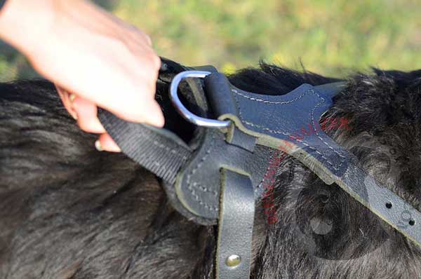 Durable Handle Stitched to Back Plate for Better Control Over Your Dog