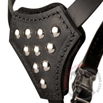 Riesenschnauzer Harness Leather with Studded  Breast Plate
