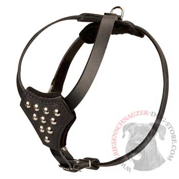 Leather Dog Puppy Harness with Studded Chest Plate