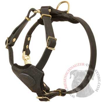 Light Weight Leather Puppy Harness for Riesenschnauzer