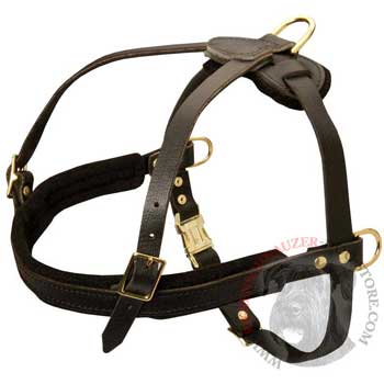 Leather Riesenschnauzer Harness for Dog Off Leash Training