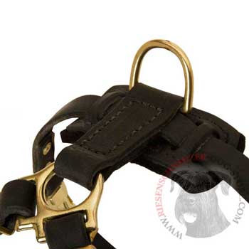 D-ring on Leather Riesenschnauzer Harness for Puppy Training
