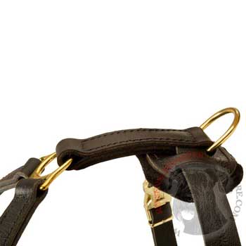 Corrosion Resistant D-ring of Riesenschnauzer Harness