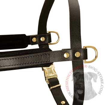 Training Pulling Riesenschnauzer Harness with Sewn-In Side D-Rings