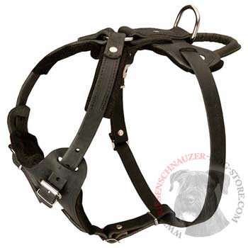 Leather Dog Harness for Riesenschnauzer Off Leash Training